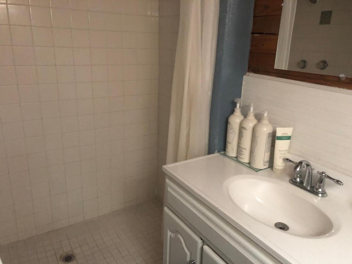 אלפיין Dragonfly Cottage 1 Of 5 Listings Downtown מראה חיצוני תמונה